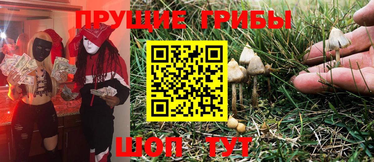 Псилоцибиновые грибы Psilocybine cubensis  Вход с VPN  Щёлково 